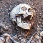 Proč lidstvo nezůstalo u kanibalismu: Čeští vědci vypočítali evoluční past