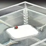 Proč se pod náplastí potí kůže a jak to vědci vyřešili pomocí kousku siliky
