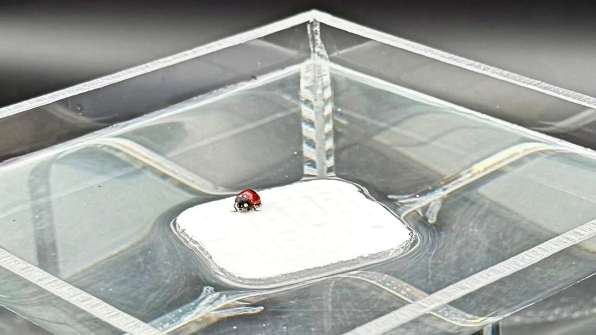 Proč se pod náplastí potí kůže a jak to vědci vyřešili pomocí kousku siliky