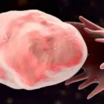 Proč se vaječníky začínají měnit mnohem dřív, než přijde menopauza