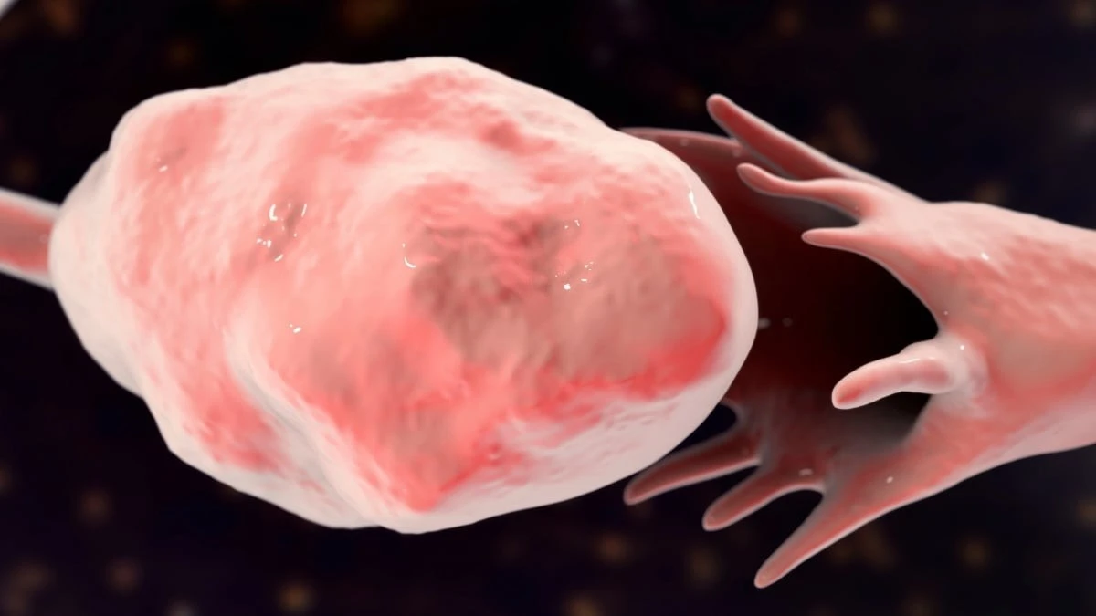 Proč se vaječníky začínají měnit mnohem dřív, než přijde menopauza