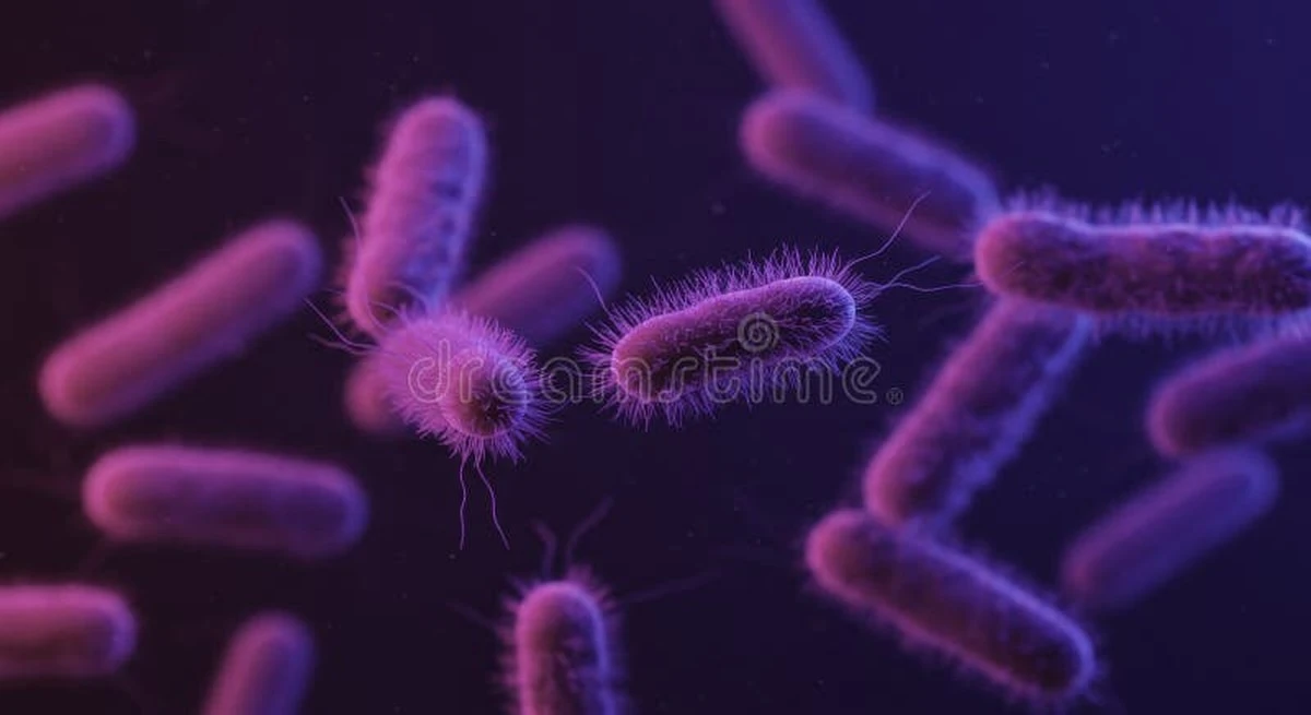 Proč vědci v hlubokých dolech krmí bakterie obyčejným glycerolem - image 1