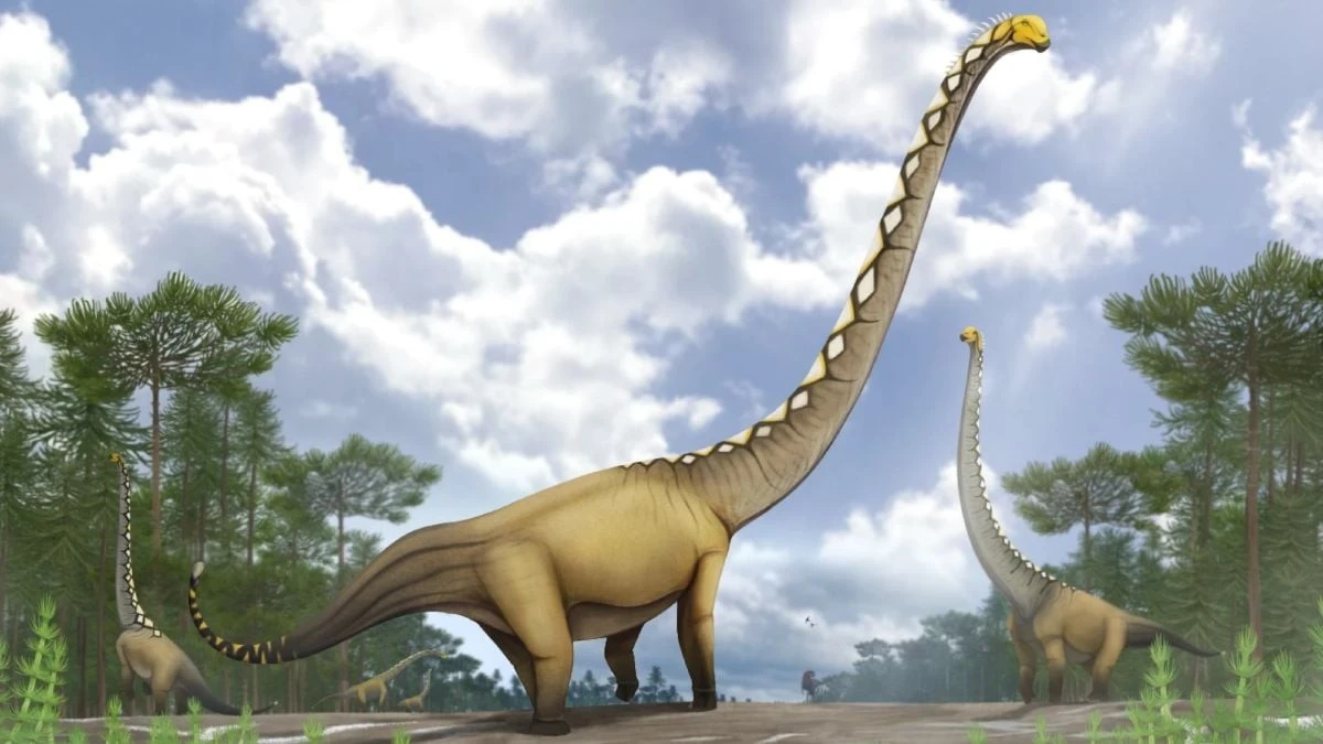 Proč vědci v Thajsku zkoumají jeden jediný obratel dinosaura