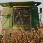 Proč vědci začali sypat drcený čedič na zemědělská pole