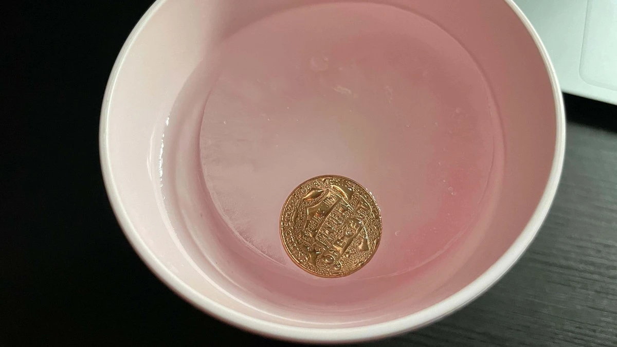 Proč zkušení cestovatelé dávají před odjezdem na dovolenou minci do mrazáku - image 1