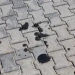 Proč zkušení domkaři sypou kočičí podestýlku na zámkovou dlažbu