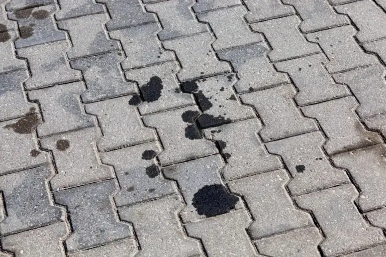 Proč zkušení domkaři sypou kočičí podestýlku na zámkovou dlažbu