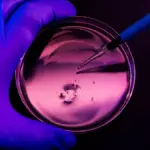 Proč zkušení lékaři začínají mít obavy z běžné bakterie v nemocnicích
