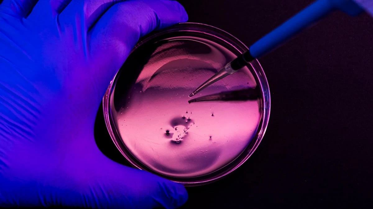 Proč zkušení lékaři začínají mít obavy z běžné bakterie v nemocnicích