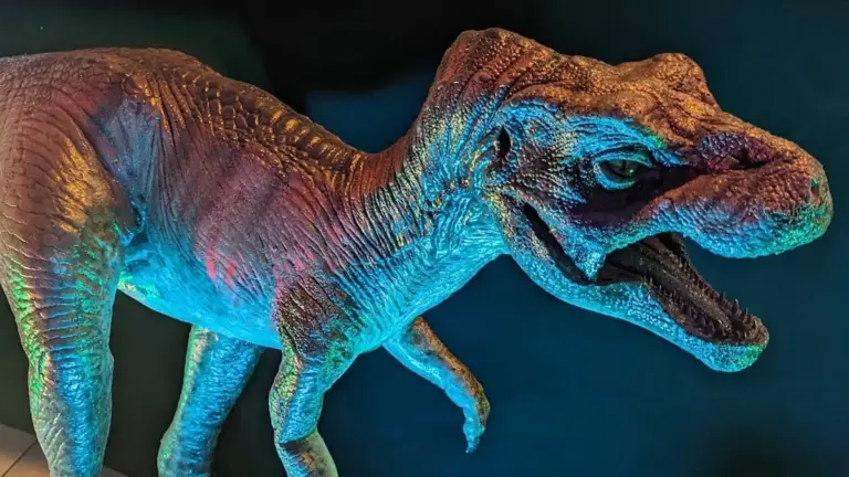 Proč zkušení paleontologové v muzeích záměrně přehlíželi kosti nejmenšího T-rexe
