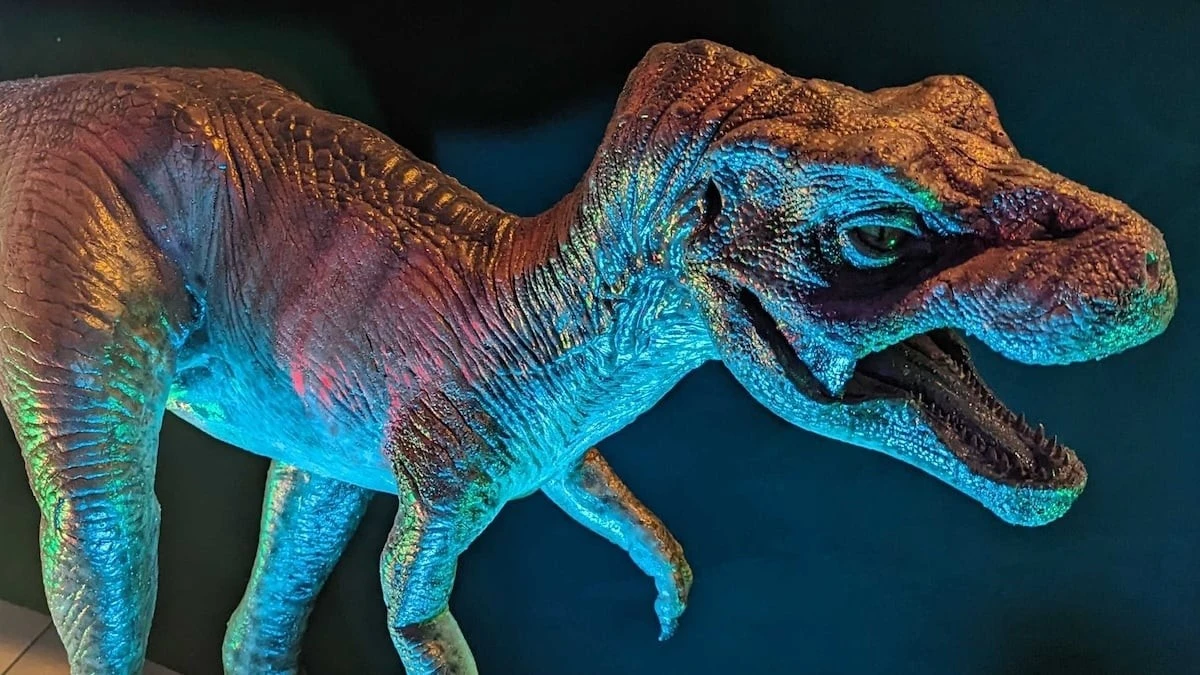 Proč zkušení paleontologové v muzeích záměrně přehlíželi kosti nejmenšího T-rexe