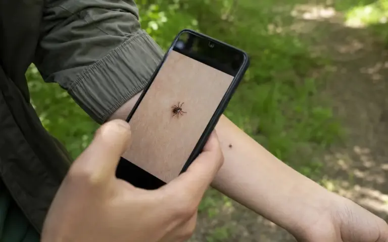 Proč zkušení turisté zapínají při prohlídce těla speciální filtr v mobilu