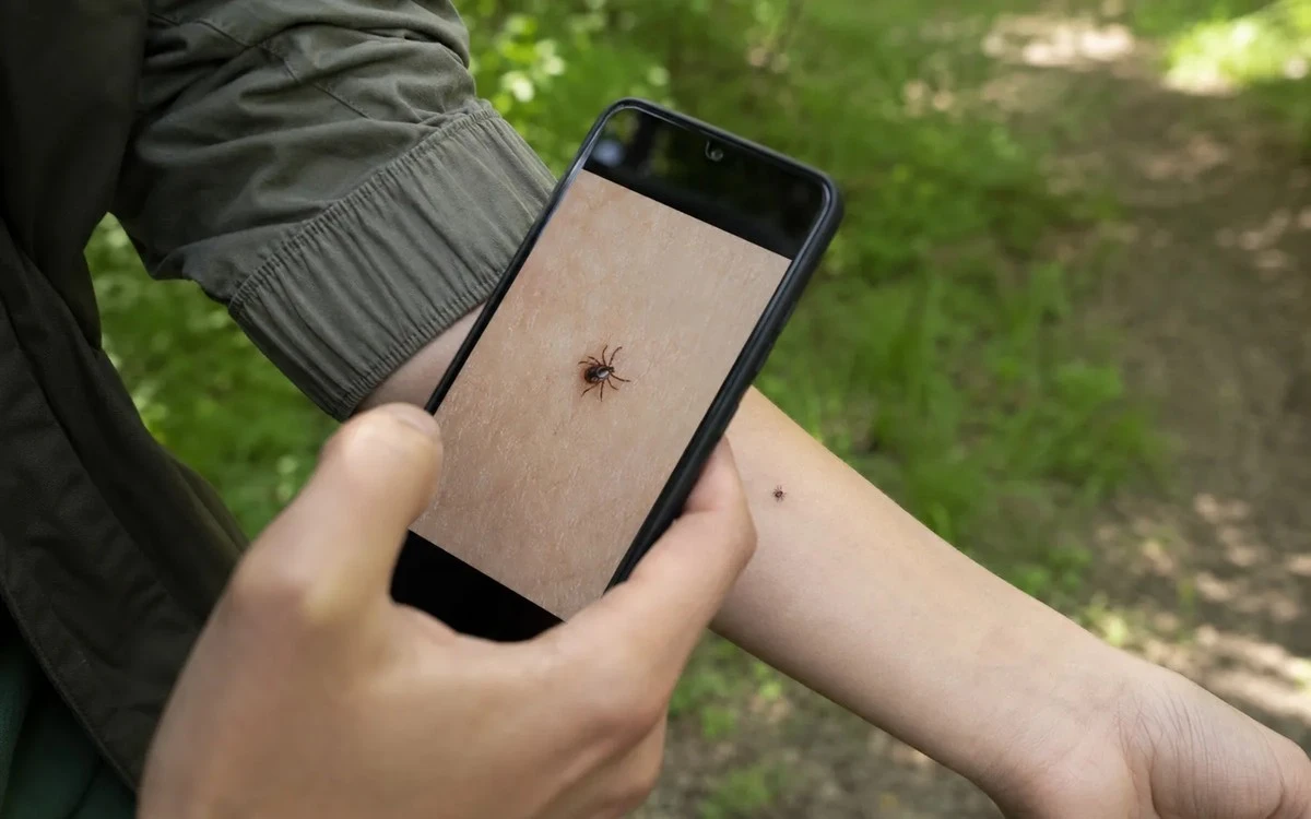 Proč zkušení turisté zapínají při prohlídce těla speciální filtr v mobilu