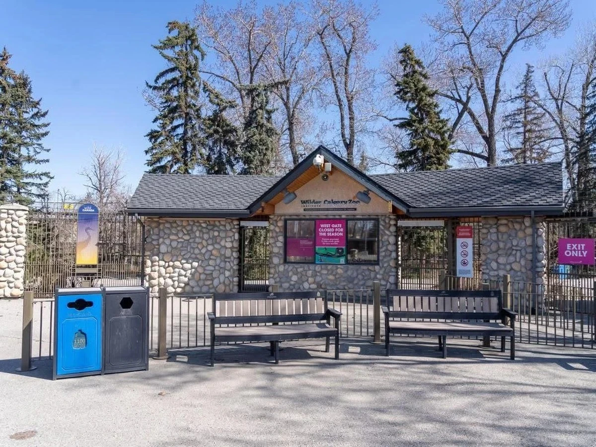 Proč zoo v Klaipėdě vybírá hotovost za lístky, i když má zákaz přijímat návštěvníky - image 1